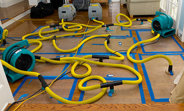 Professional Storm Water Damage Restoration technician working in Carlton, WA